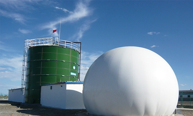 Biogas-Halter
