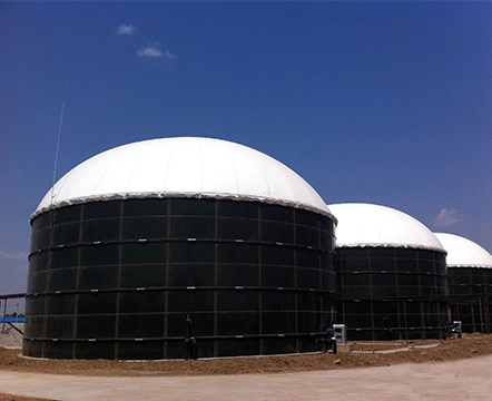 Doppel membran Biogas halter